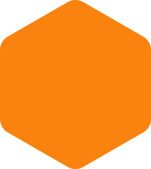 https://jbamlg-reno-interieur-13.com/wp-content/uploads/2020/09/hexagon-orange-huge.png